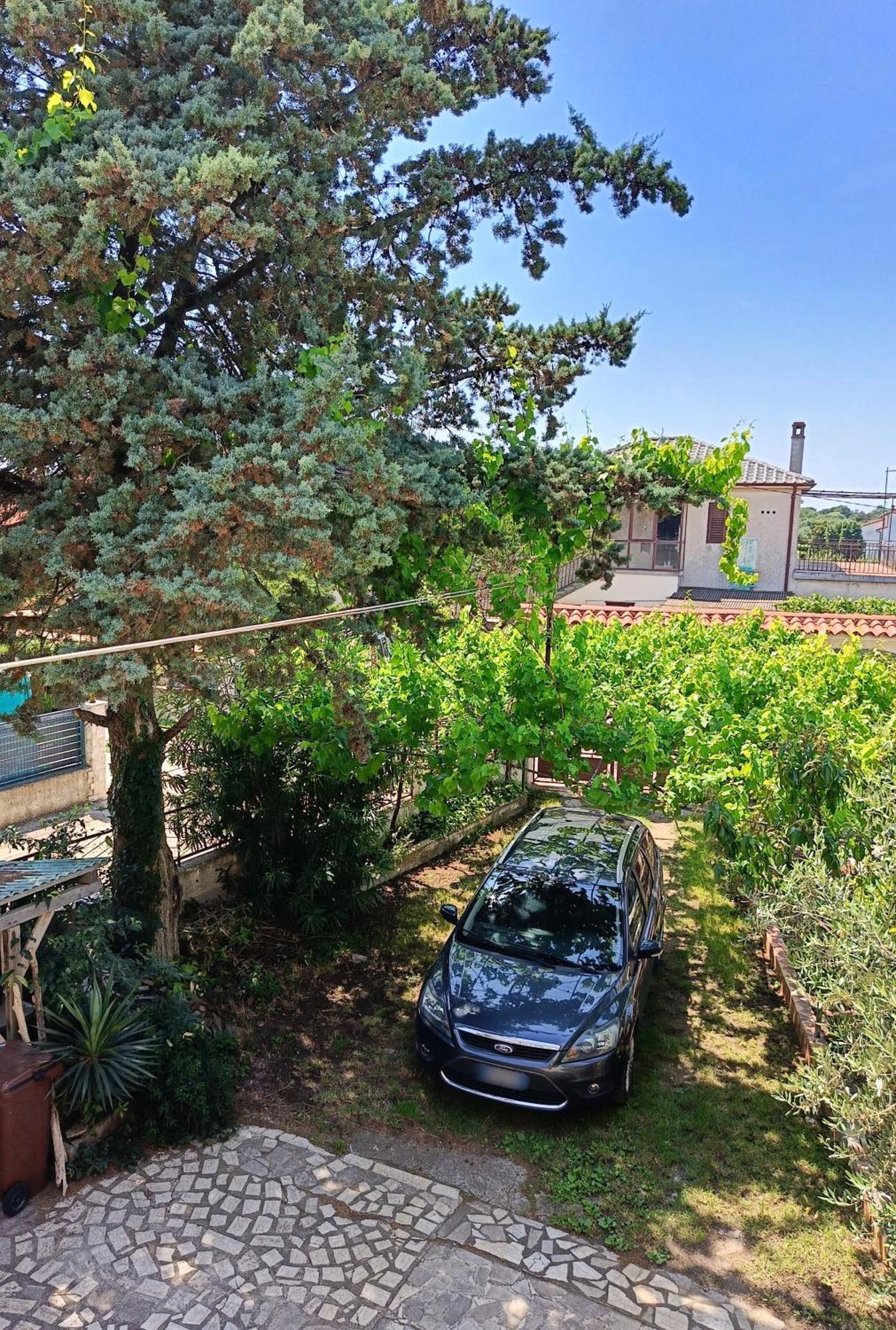 Apartments Villa Laura Pula Exterior photo