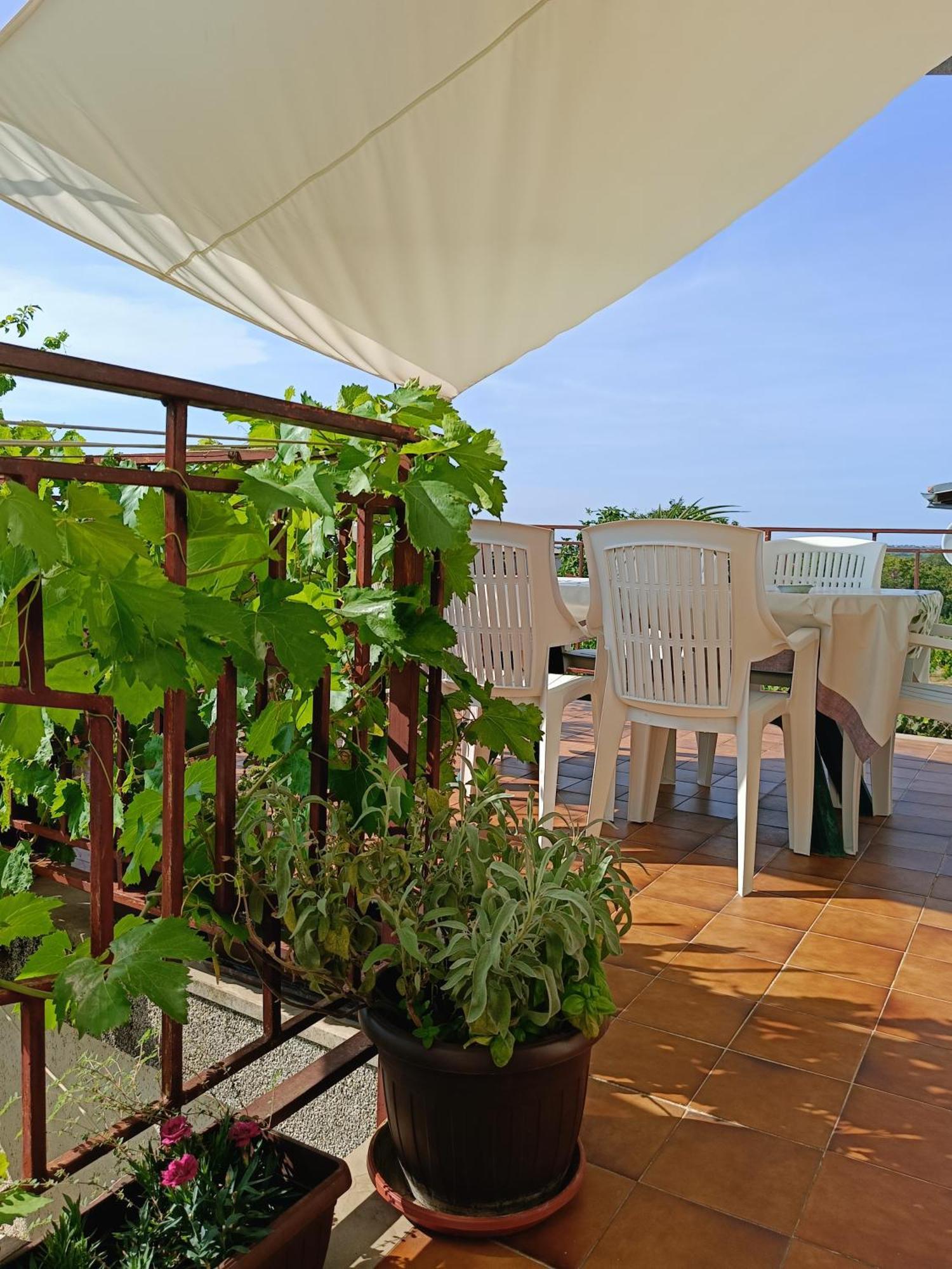 Apartments Villa Laura Pula Exterior photo
